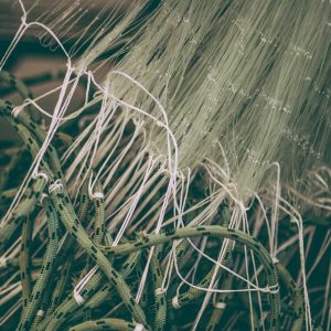 Ready Rigged Multi Mono Gill Net 1.5 x 4ply x 4-1/2" x 50MD 100 Yards